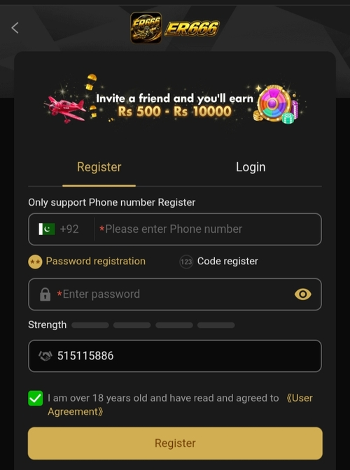 ER666 game